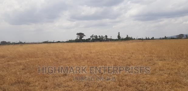 14 Acres for Sale in Malaa