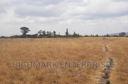 14 Acres for Sale in Malaa