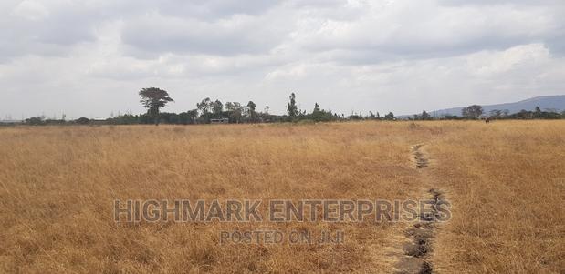 14 Acres for Sale in Malaa