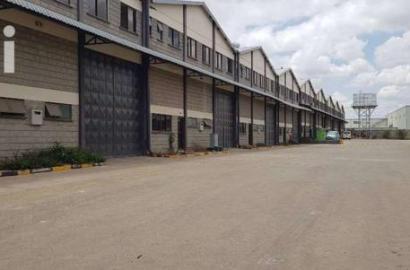 8000 SQ Godown for Sale