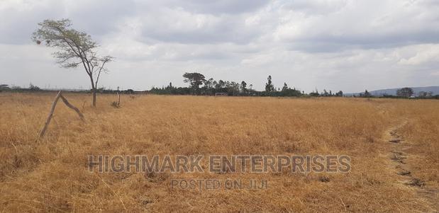 14 Acres for Sale in Malaa