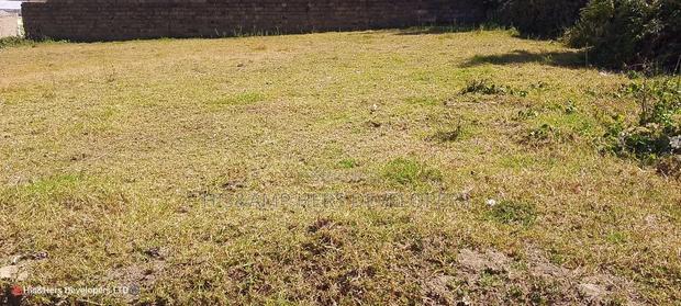 Quick Sale, 1/4 Plot (TWO PLOTS) on Sale in Molo Town at 6.8M