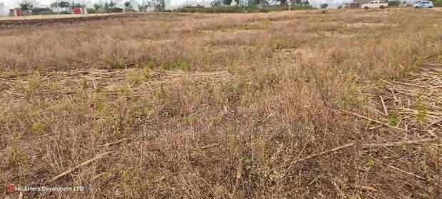 Quick Sale 1.6acre on Sale in Ampiva 4m Only