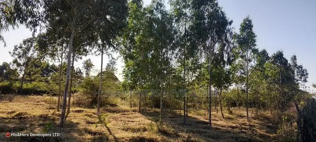 3 Bedrooms Built on 2 Acres in Lower