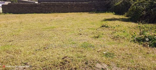 Quick Sale, 1/4 Plot (TWO PLOTS) on Sale in Molo Town at 6.8M