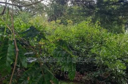 9 Acres Virgin Land, Subukia for Avocado Farming With Title