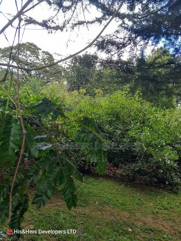 9 Acres Virgin Land, Subukia for Avocado Farming With Title