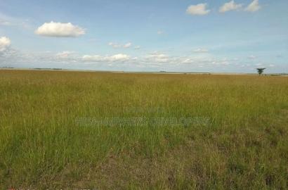 180 Acres in Narok Ololulunga Area at 500,000 Per Acre.