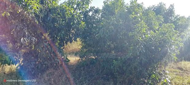 1/4 Acre in Subukia at 2M With Title Deed