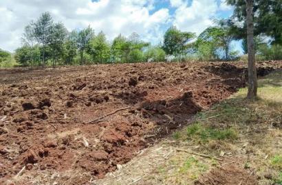 900 Acres Quick Sale in Kitale Ready Title Deed