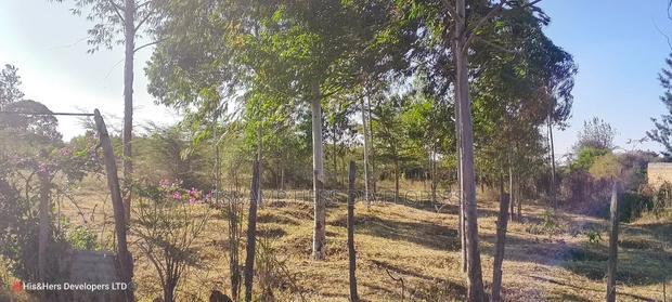 3 Bedrooms Built on 2 Acres in Lower