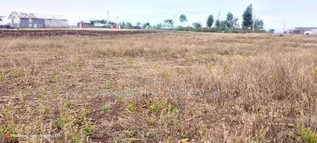 Quick Sale 1.6acre on Sale in Ampiva 4m Only