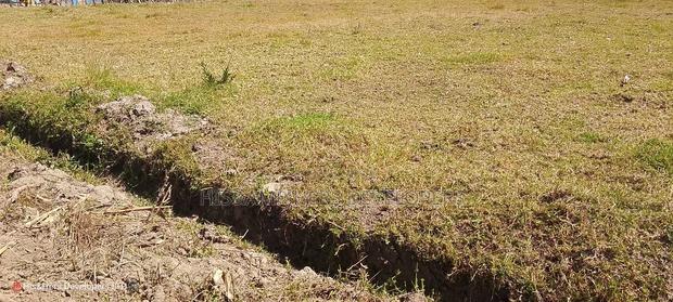 Quick Sale, 1/4 Plot (TWO PLOTS) on Sale in Molo Town at 6.8M