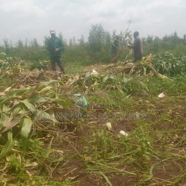 5 Acres for Sale in Subukia Polepole Area at 700kper Acre
