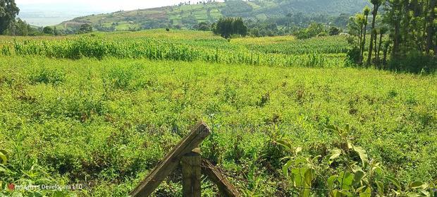 10 Acres on Sale in Ngorika at 2.5m Per Acre With Ready Title.