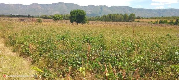 Quick Sale of 3acres in Subukia Lari at Per Acre.