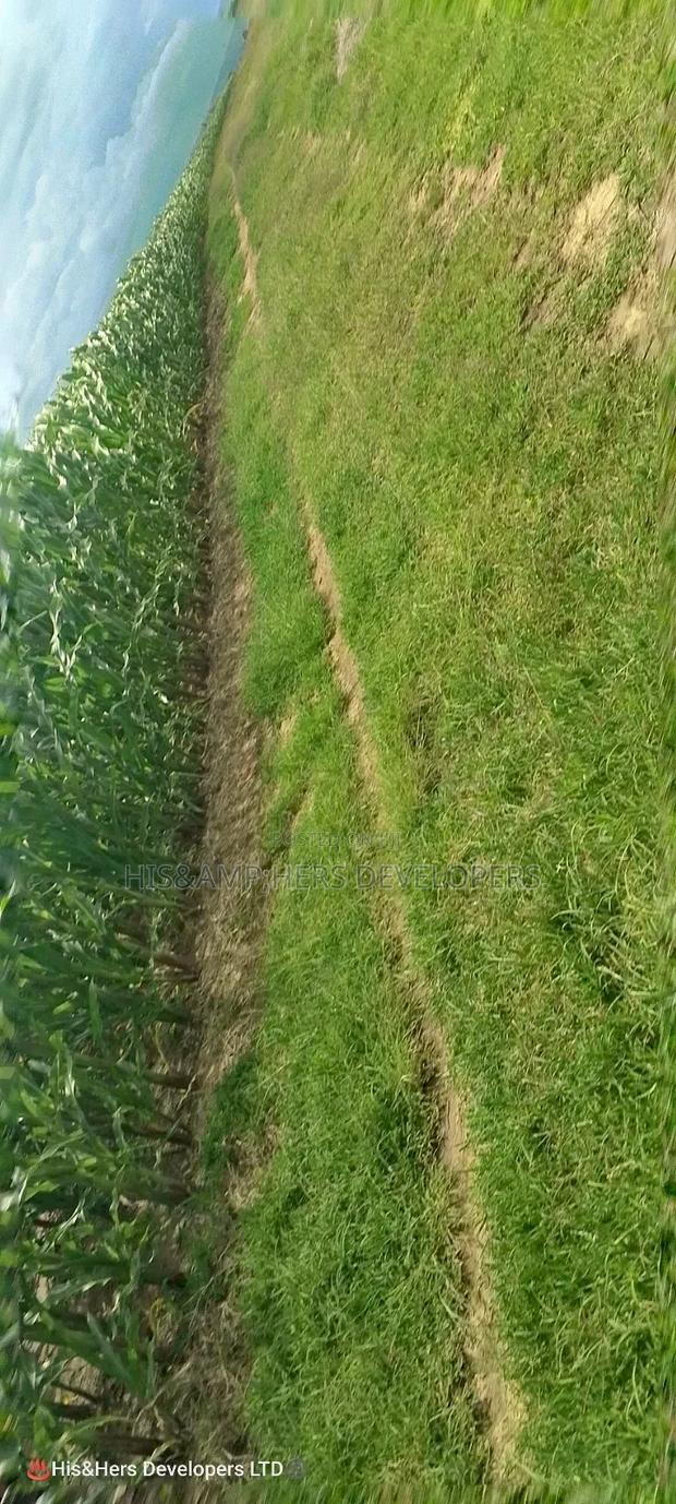 240acres in Narok With Clean Tittle Deed at 650,000 Per Acre