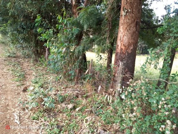 4 Acres in Subukia Subati Area, Sold in 2 Acres Parcels