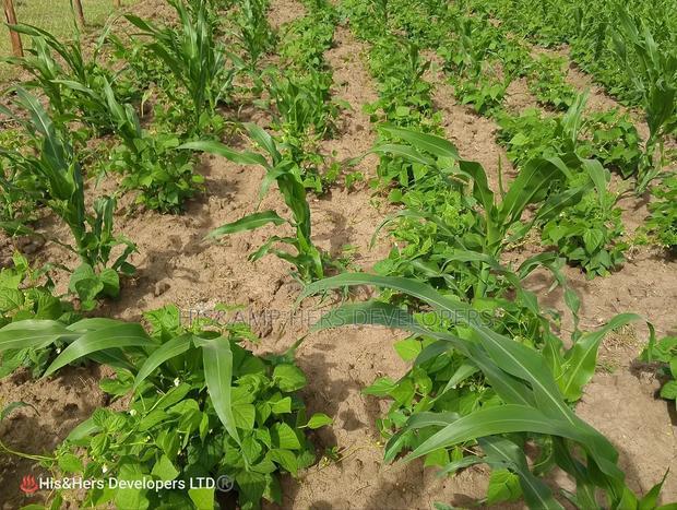52acres Mulot Area With Ready Title Deed at 600,000 Per Acre.