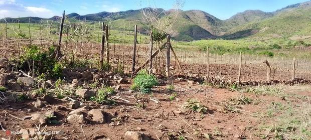 Quik Sale, 8acres in Mbogoini Subukia at 700,000 Per Acre.