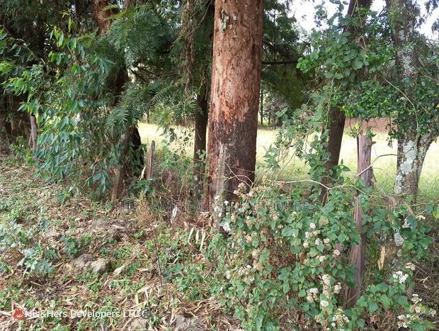 4 Acres in Subukia Subati Area, Sold in 2 Acres Parcels