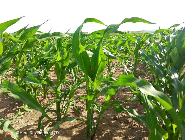 95acres in Narok Mulot Ready Title Deed at 700,000