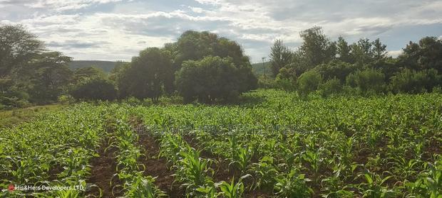 1acre Quick Sale With Mango Trees in Subukia Mwiteithia
