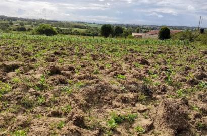 120 Acres in Orikinyei Ready Title Deed at 550,000 Per Acre