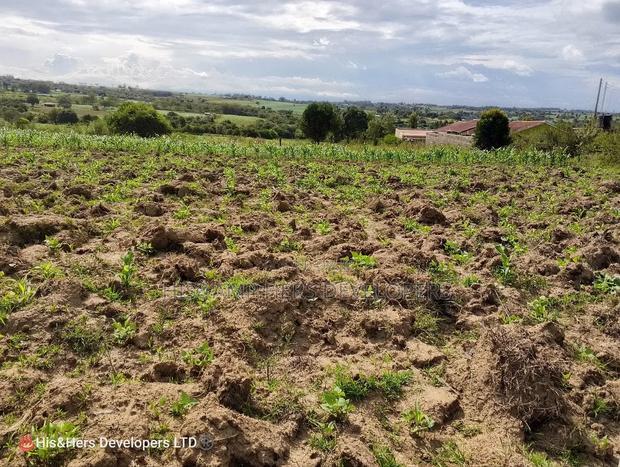 120 Acres in Orikinyei Ready Title Deed at 550,000 Per Acre