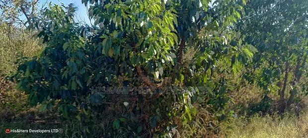 1/4 Acre in Subukia at 2M With Title Deed