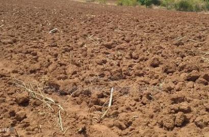 Quick Sale, 4 Acres in Subukia Near a River at 1.5m Per Acre