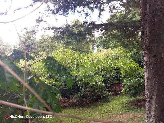 9 Acres Virgin Land, Subukia for Avocado Farming With Title