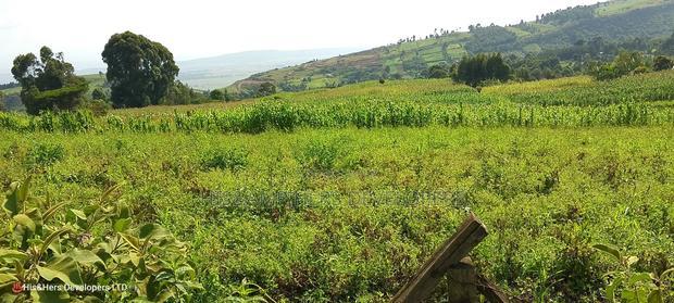 10 Acres on Sale in Ngorika at 2.5m Per Acre With Ready Title.