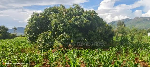 1acre Quick Sale With Mango Trees in Subukia Mwiteithia