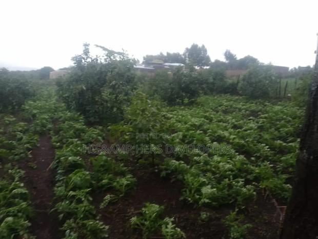 Virgin Fenced 10 Acres in Bahati Ideal 4 Avocado Farming