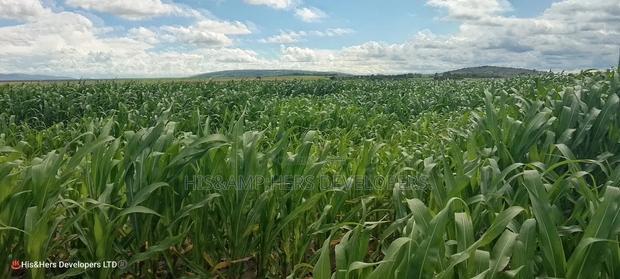 240acres in Narok With Clean Tittle Deed at 650,000 Per Acre