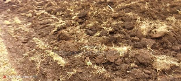 Quick Sale 1.6acre on Sale in Ampiva 4m Only