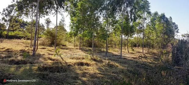 3 Bedrooms Built on 2 Acres in Lower