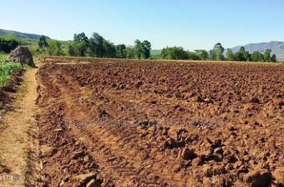 11 Acres at 1.3M Per Has Title Deed in Lower Subukia Limuru.
