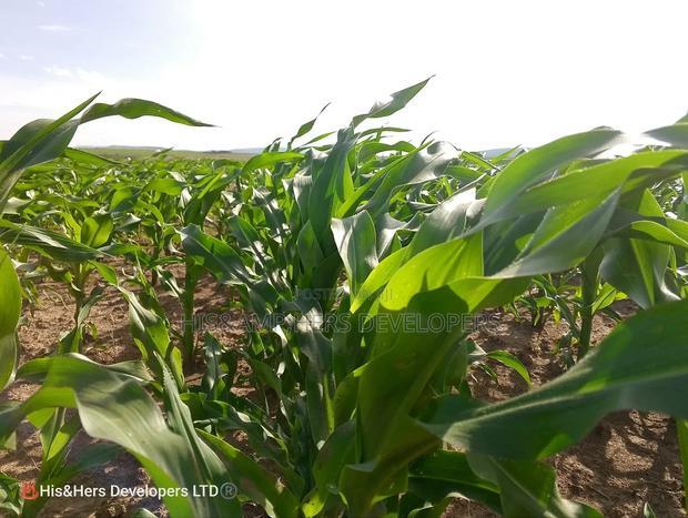95acres in Narok Mulot Ready Title Deed at 700,000