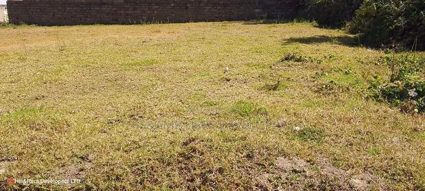 Quick Sale, 1/4 Plot (TWO PLOTS) on Sale in Molo Town at 6.8M