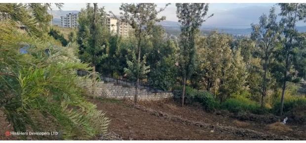 Quick Sale !! 1/2 Acre in Milimani Nakuru