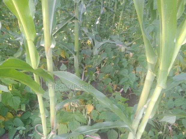 Very Quick Sale 4acres in Suswa Subukia, at 600,000 Per Acre