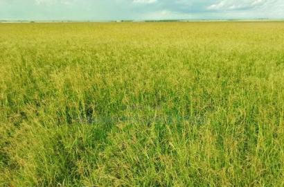 Land for Sale - 36 Acres in Narok at 580,000 Per Acre