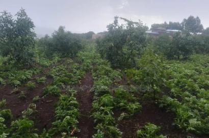 Virgin Fenced 10 Acres in Bahati Ideal 4 Avocado Farming