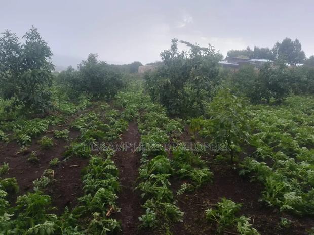 Virgin Fenced 10 Acres in Bahati Ideal 4 Avocado Farming