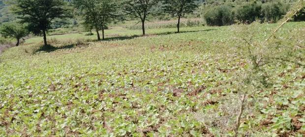 5 Acres for Sale in Subukia Polepole Area at 700kper Acre