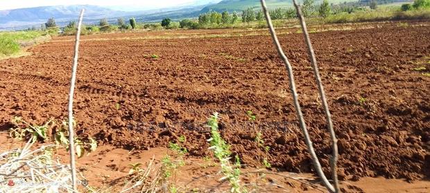 Quik Sale, 8acres in Mbogoini Subukia at 700,000 Per Acre.