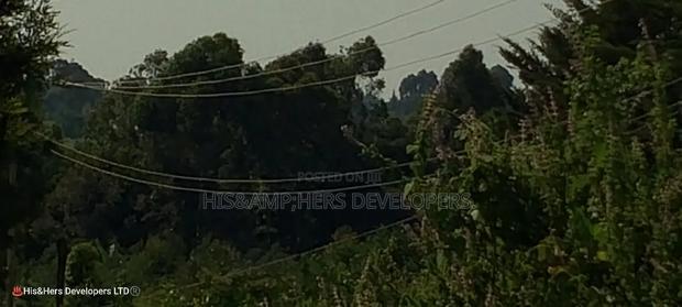 10 Acres on Sale in Ngorika at 2.5m Per Acre With Ready Title.