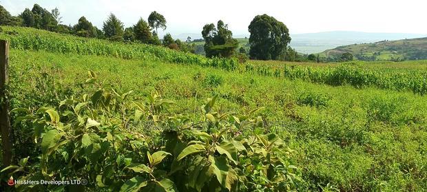 10 Acres on Sale in Ngorika at 2.5m Per Acre With Ready Title.
